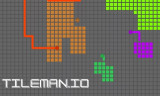 Tileman io